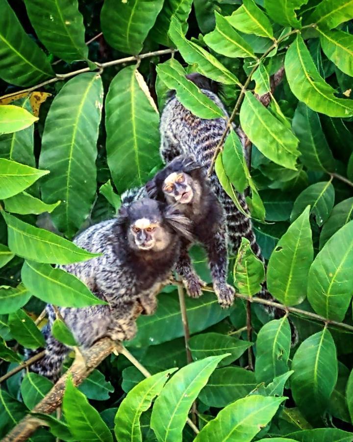 Pousada Costao Do Sol Angra dos Reis Eksteriør bilde