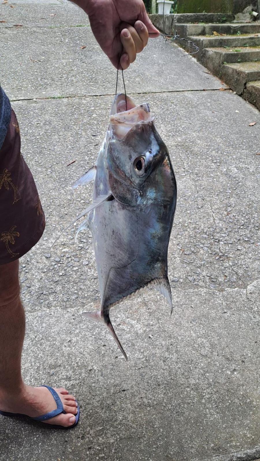 Pousada Costao Do Sol Angra dos Reis Eksteriør bilde