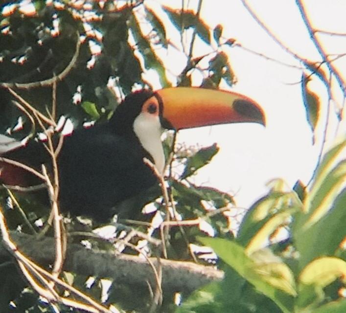 Pousada Costao Do Sol Angra dos Reis Eksteriør bilde